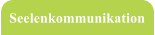 Seelenkommunikation